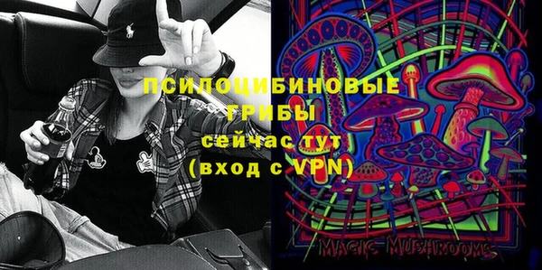 бошки Елабуга