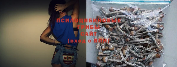 меф Ельня