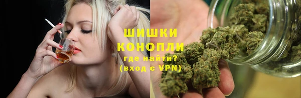 меф Ельня