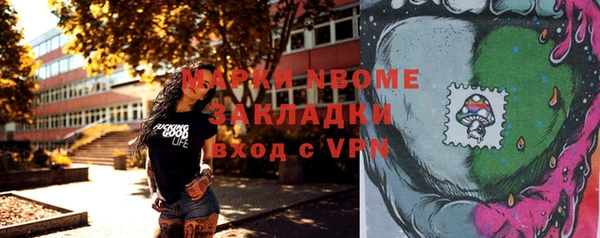 прущий лед Заводоуковск