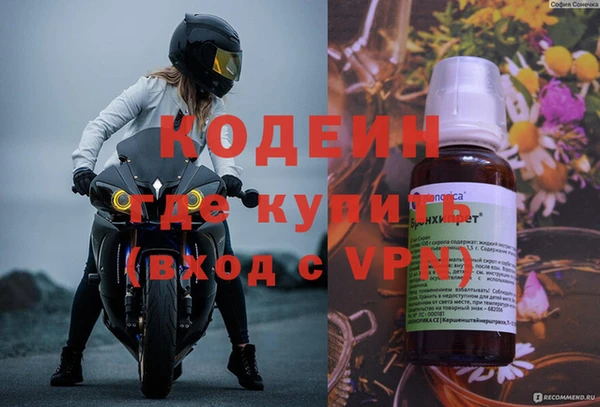меф Ельня